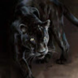 Meet your Posher, Jeffrey